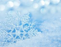 Macro perfect frozen snowflake - Winter season time
