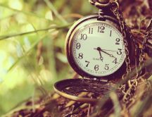 Watch the clock under the tree - Time travel