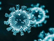 Millions of people dead in the hole world from coronavirus