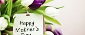 Beautiful tulips bouquet - Happy Mother's Day 8 March