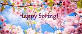 Happy Spring day 2020 - Stay home and relax time for family
