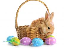 Brown fluffy Eater bunny basket and coloured eggs