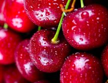 Macro water drops on a delicious cherries