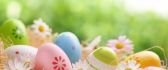 Painted eggs and white spring flowers -Easter Spring Holiday