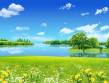 Nature landscape green grass and blue water