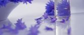 Cosmetic from essential oil - Purple water floral perfume