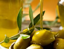 Olive oils - Cold pressure for delicious and tasty food