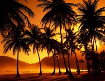 Orange sunset on the beach - Island relaxing place