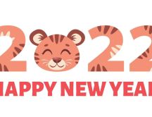 Little tiger in 2022 - Happy New Year China town