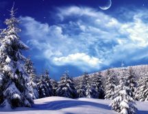 Wonderful winter season time - White forest big moon