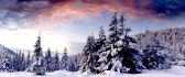 Winter season HD wallpaper- beautiful white snow