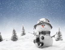 Winter snowy day - Little snowman in the mountain