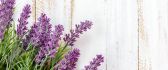 Beautiful Lavender bouquet of flower - HD wallpaper