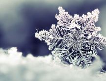 Perfect crystal snow flake - Blurry background