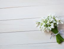 White bouquet of snowdrops - White wall HD wallpaper