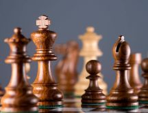 Wooden chess pieces - Mind sport