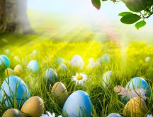 Wonderful spring day - Easter eggs in the green grass